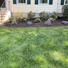 Foundation-Planting-Installation-in-Shelton-CT 6